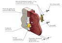 SERRURE + PLASTRON CONDAMNE 6902419