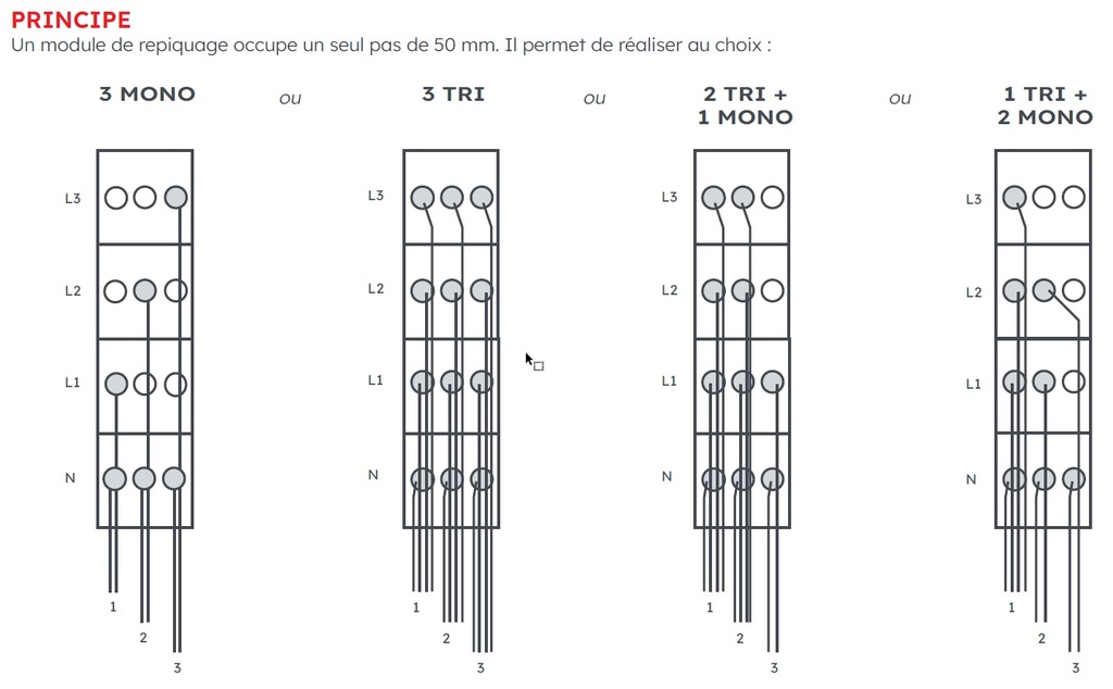 MODULE REMIC DE REPIQUAGE NON FUSIBLE (1N+3P) 6771704 *